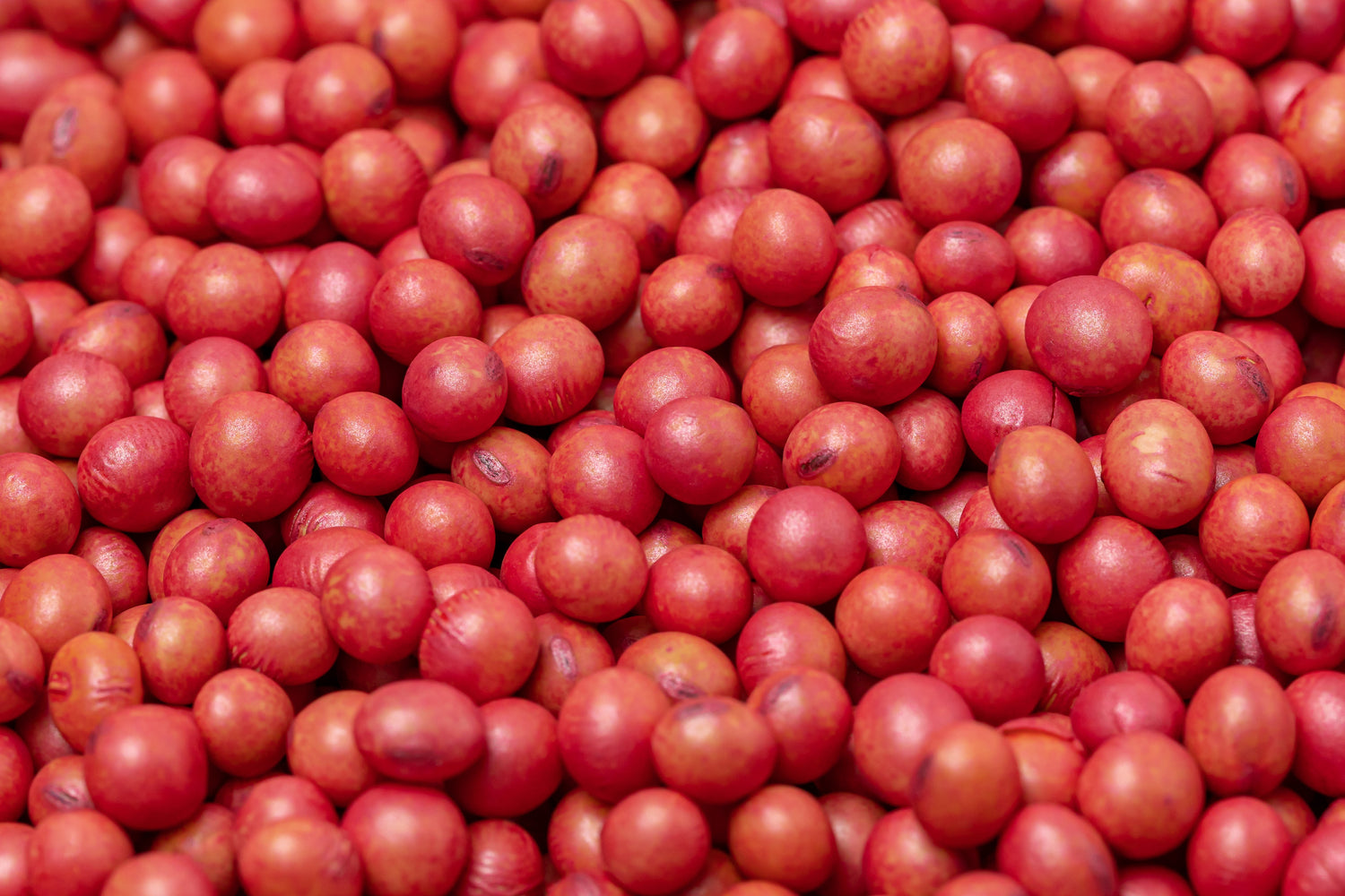 Soybeans
