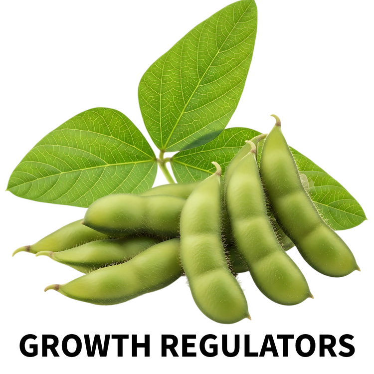 Growth Regulators