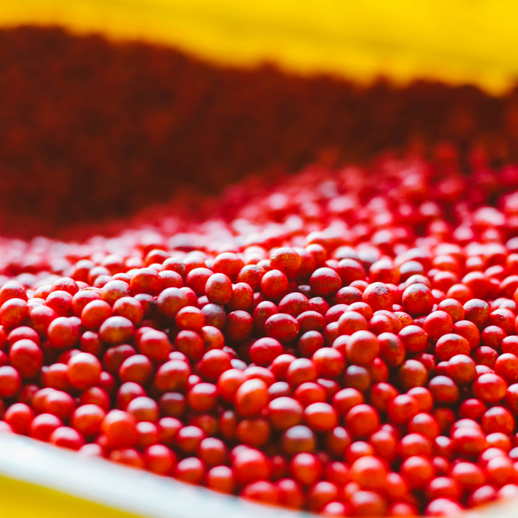 Seed