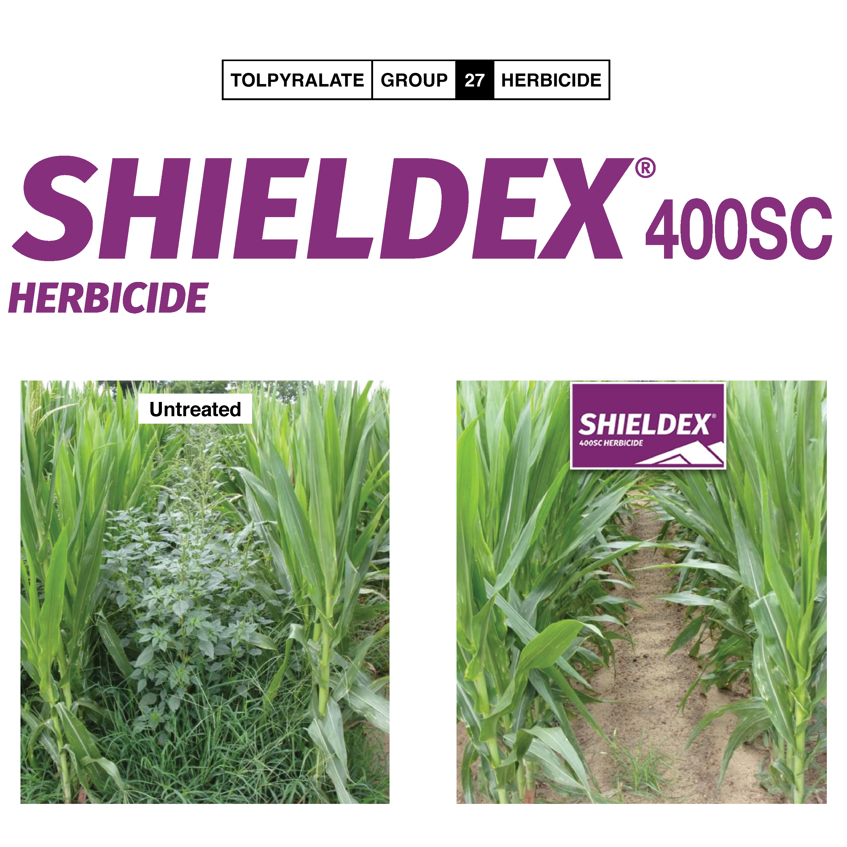 Help 400sc Shieldex® 400SC – Expect More Ag Network