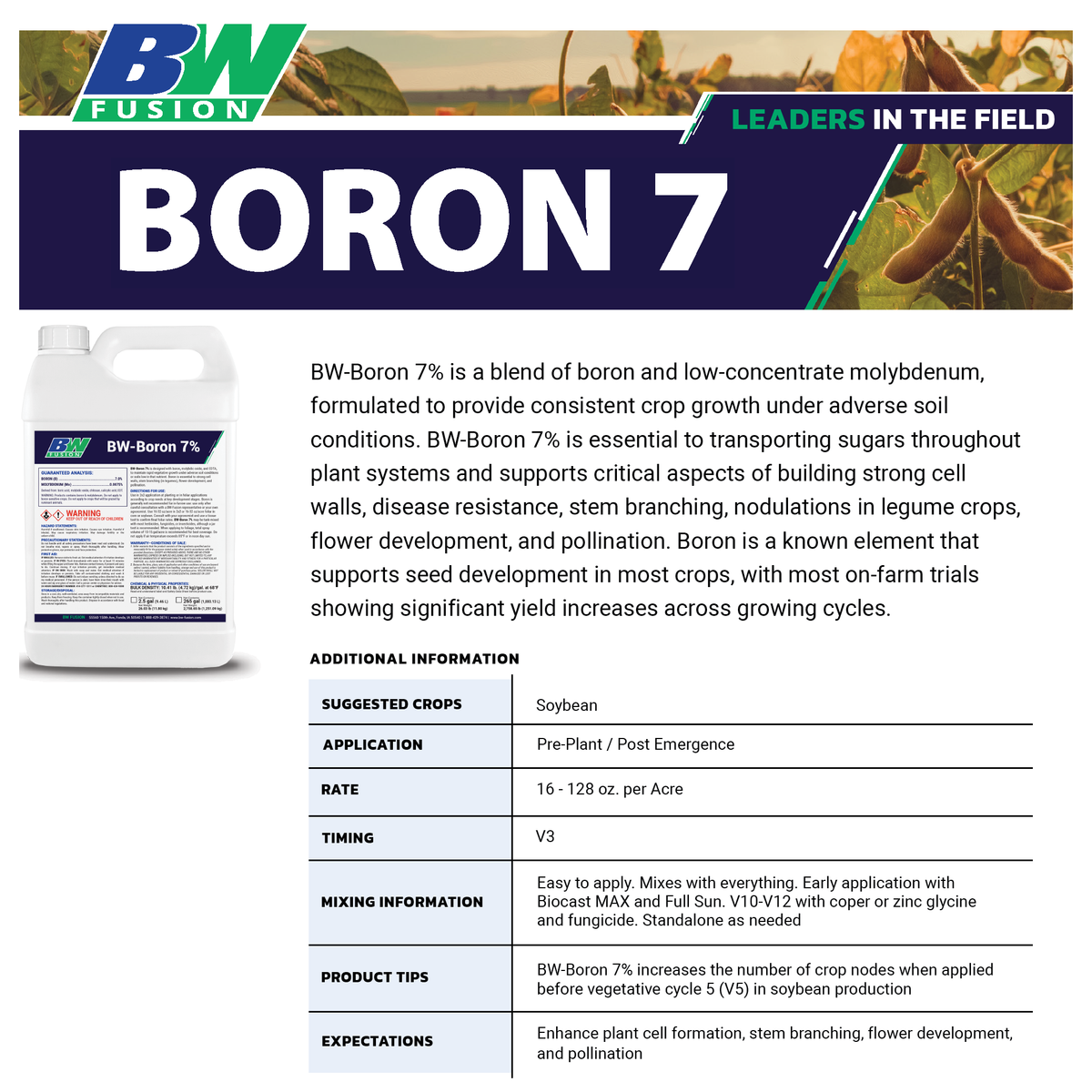 Boron 7%