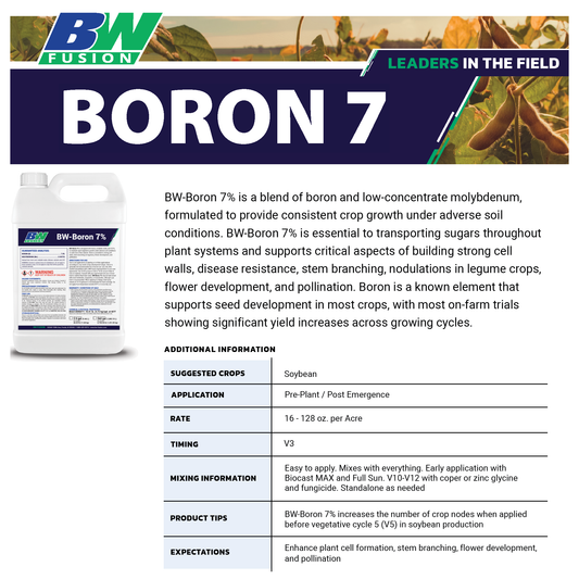 Boron 7%