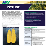 BW NTrust