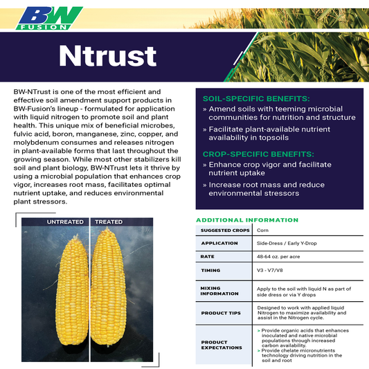 BW NTrust