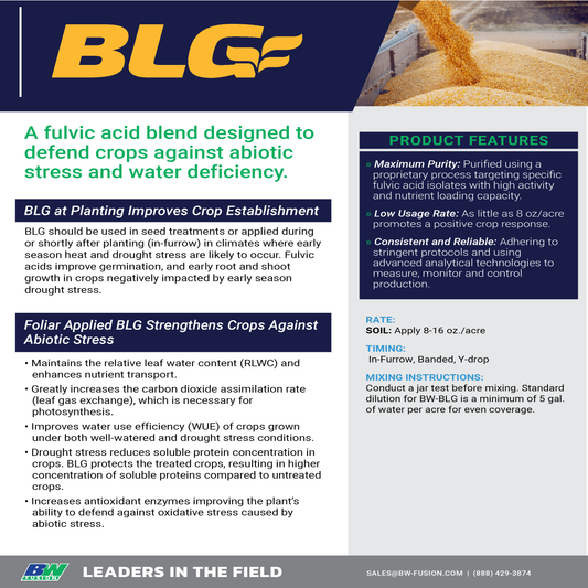 BLG