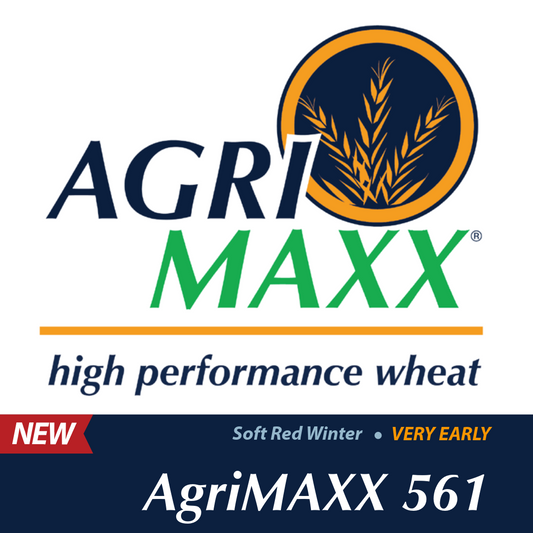 AgriMaxx 561 (Prime Basic Treatment)
