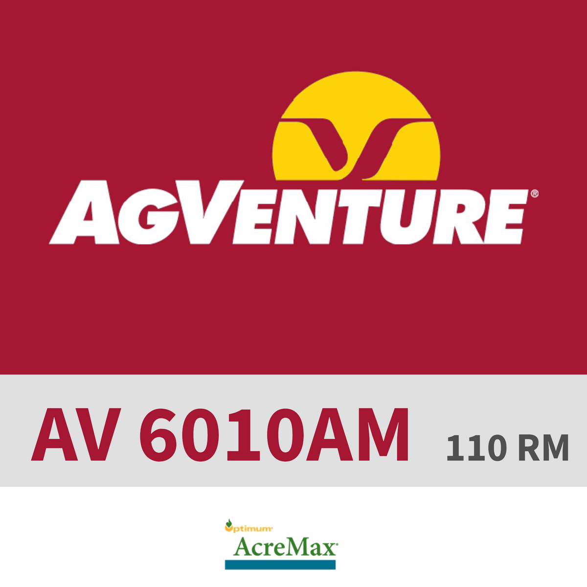 AV 6010AM