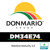 DM34E74 (TREATED)