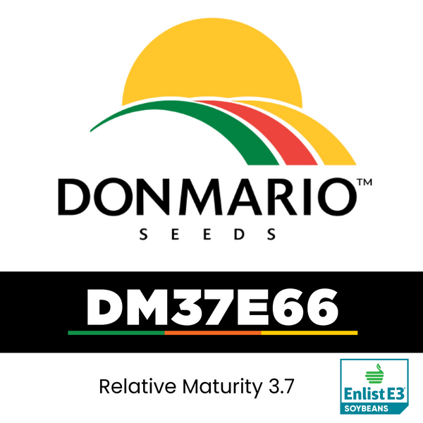 DM37E66 (TREATED)