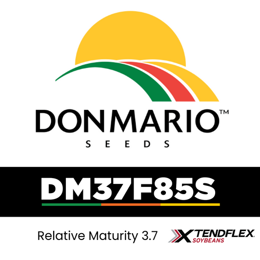 DM37F85S (TREATED)