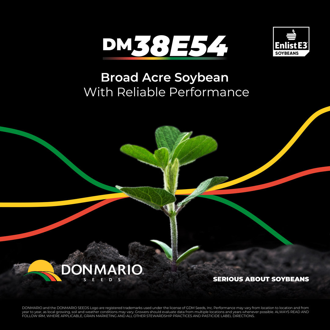 DM38E54 (TREATED)