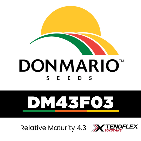 DM43F03 (TREATED)