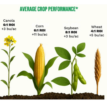 PhycoTerra™ FX Foliar Treatment