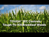 Tough® 5EC Herbicide