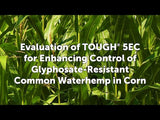 Tough® 5EC Herbicide